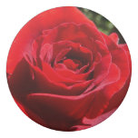 Bright Red Rose Flower Beautiful Floral Eraser