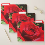 Bright Red Rose Flower Beautiful Floral File Folder