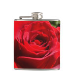 Bright Red Rose Flower Beautiful Floral Flask