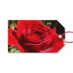 Bright Red Rose Flower Beautiful Floral Gift Tags