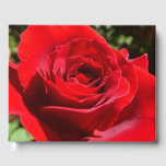 Bright Red Rose Flower Beautiful Floral Guest Book