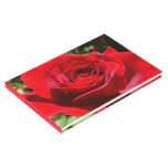 Bright Red Rose Flower Beautiful Floral Guest Book