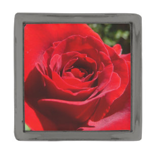 Bright Red Rose Flower Beautiful Floral Gunmetal Finish Lapel Pin
