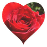 Bright Red Rose Flower Beautiful Floral Heart Sticker