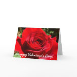 Bright Red Rose Flower Beautiful Floral Holiday Card