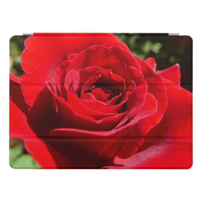 Bright Red Rose Flower Beautiful Floral iPad Pro Cover (Horizontal)