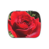 Bright Red Rose Flower Beautiful Floral Jelly Belly Candy Tin (Top)