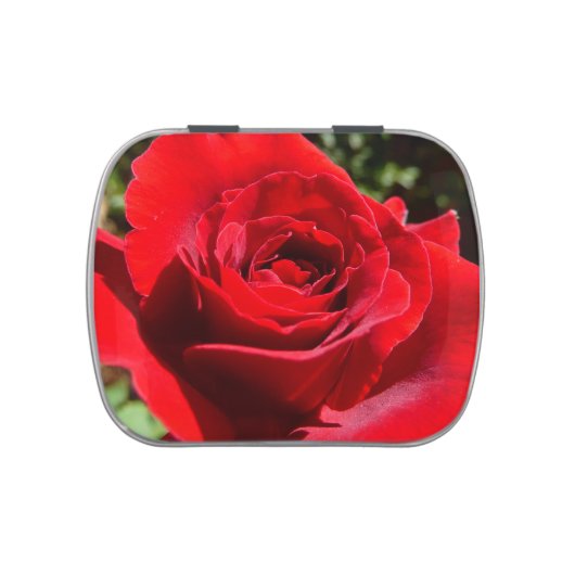 Bright Red Rose Flower Beautiful Floral Jelly Belly Candy Tin (Top)