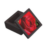 Bright Red Rose Flower Beautiful Floral Jewelry Box