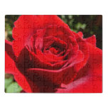 Bright Red Rose Flower Beautiful Floral Jigsaw Puzzle