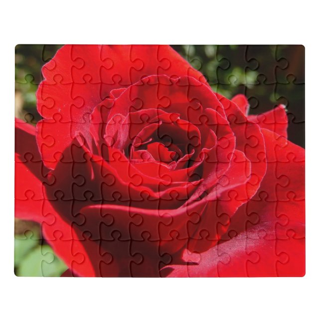Bright Red Rose Flower Beautiful Floral Jigsaw Puzzle (Puzzle Horizontal)
