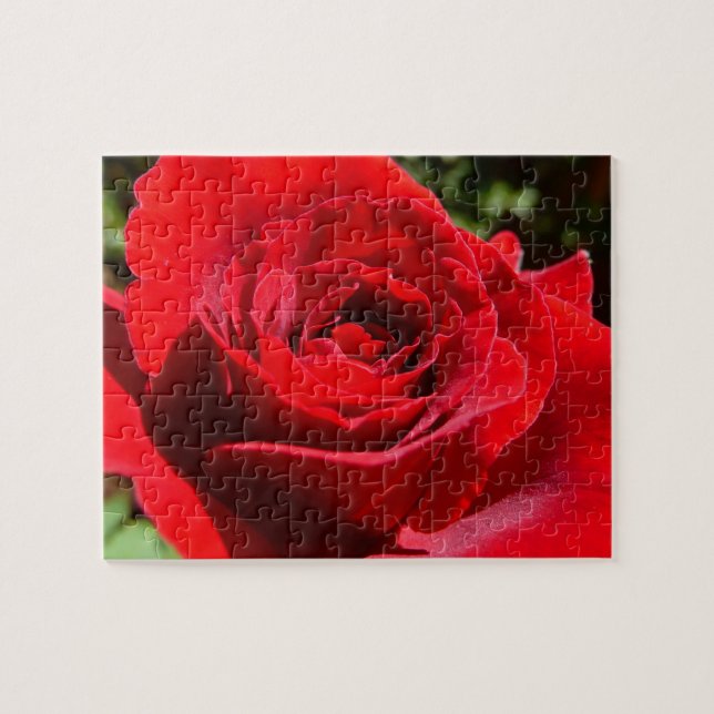 Bright Red Rose Flower Beautiful Floral Jigsaw Puzzle (Horizontal)