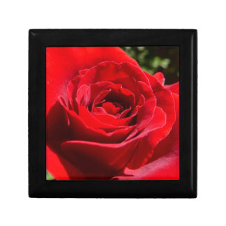 Bright Red Rose Flower Beautiful Floral Keepsake Box