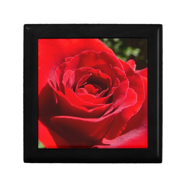 Bright Red Rose Flower Beautiful Floral Keepsake Box (Front)