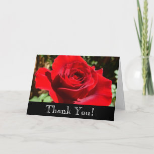 Bright Red Rose Flower Beautiful Floral Letterpress Thank You Card