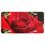 Bright Red Rose Flower Beautiful Floral License Plate