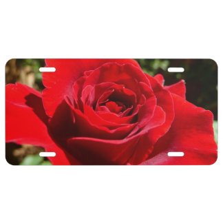 Bright Red Rose Flower Beautiful Floral License Plate