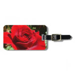 Bright Red Rose Flower Beautiful Floral Luggage Tag