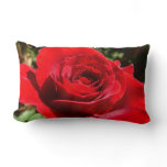 Bright Red Rose Flower Beautiful Floral Lumbar Pillow
