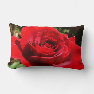 Bright Red Rose Flower Beautiful Floral Lumbar Pillow