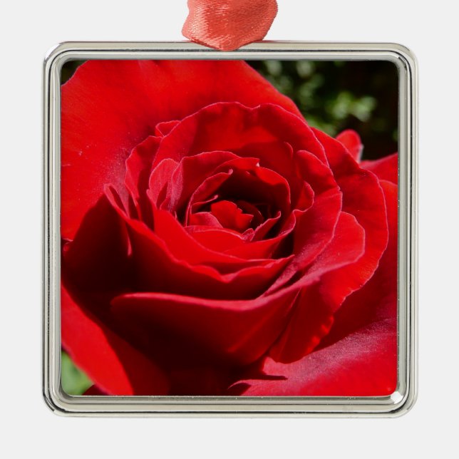 Bright Red Rose Flower Beautiful Floral Metal Ornament (Front)