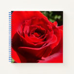 Bright Red Rose Flower Beautiful Floral Notebook
