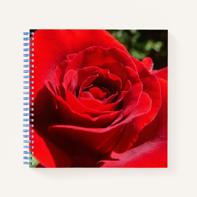 Bright Red Rose Flower Beautiful Floral Notebook (Front)