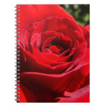 Bright Red Rose Flower Beautiful Floral Notebook