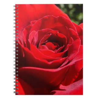 Bright Red Rose Flower Beautiful Floral Notebook