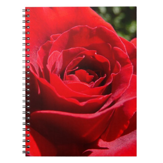 Bright Red Rose Flower Beautiful Floral Notebook (Front)