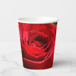 Bright Red Rose Flower Beautiful Floral Paper Cups