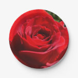 Bright Red Rose Flower Beautiful Floral Paper Plate