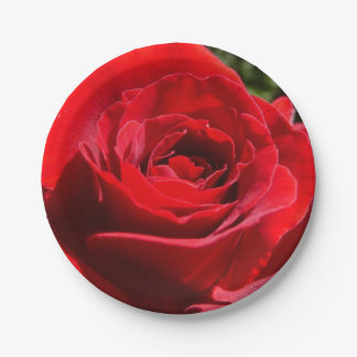 Bright Red Rose Flower Beautiful Floral Paper Plates