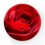 Bright Red Rose Flower Beautiful Floral Paperweight