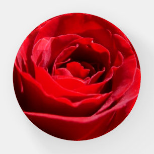 Bright Red Rose Flower Beautiful Floral Paperweight