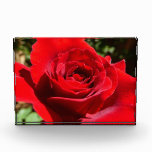 Bright Red Rose Flower Beautiful Floral Photo Block