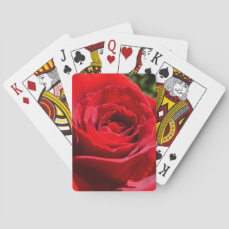 Bright Red Rose Flower Beautiful Floral Poker Cards
