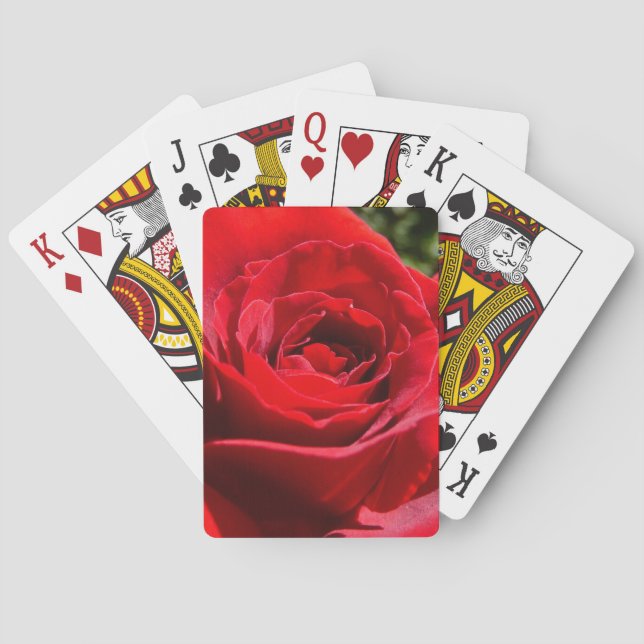 Bright Red Rose Flower Beautiful Floral Poker Cards (Back)