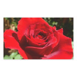 Bright Red Rose Flower Beautiful Floral Rectangular Sticker