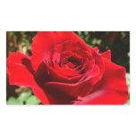 Bright Red Rose Flower Beautiful Floral Rectangular Sticker