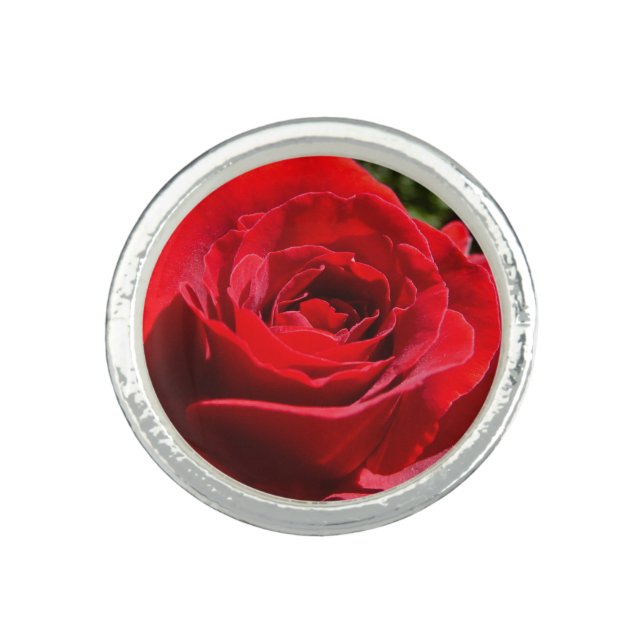 Bright Red Rose Flower Beautiful Floral Ring (Front)