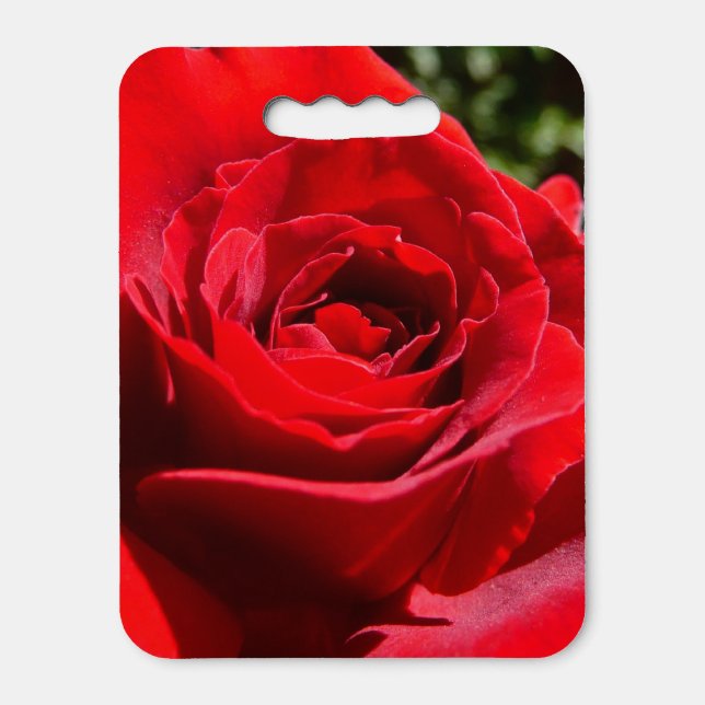 Bright Red Rose Flower Beautiful Floral Seat Cushion (Front Vertical)