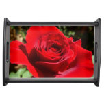 Bright Red Rose Flower Beautiful Floral Serving Tray