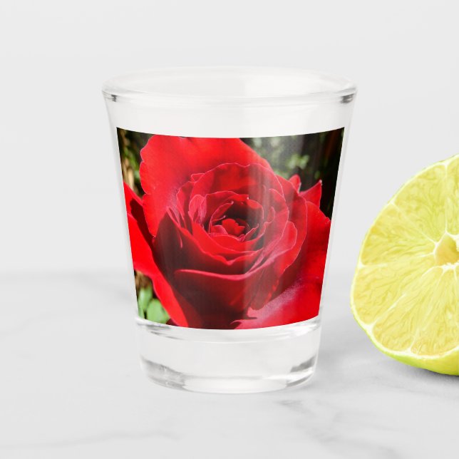 Bright Red Rose Flower Beautiful Floral Shot Glass (Front)