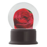Bright Red Rose Flower Beautiful Floral Snow Globe