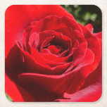 Bright Red Rose Flower Beautiful Floral Square Paper Coaster