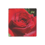 Bright Red Rose Flower Beautiful Floral Stone Magnet
