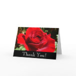Bright Red Rose Flower Beautiful Floral Thank You Card