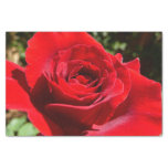 Bright Red Rose Flower Beautiful Floral Tissue Paper