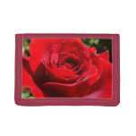 Bright Red Rose Flower Beautiful Floral Trifold Wallet